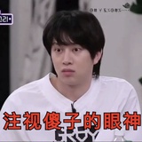 路过的一只