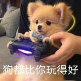 多辣少糖不吃鸡