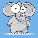 稳健的大象🐘