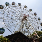 南方菇凉