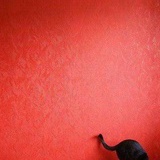 伢儿猫猫
