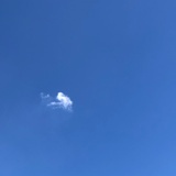蛋蛋