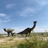 爱豆