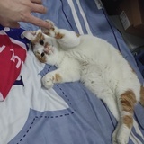 月影斑驳