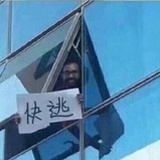真的是大朋友了