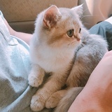我欲因之梦吴越