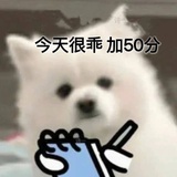 坚定不移的妈粉