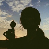 爱种胡杨的小阔