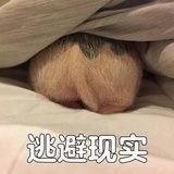 陌生人