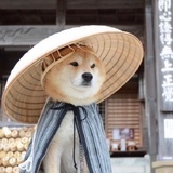 叮当