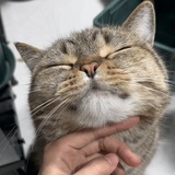 今天出太阳了吗