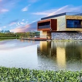 水木年华