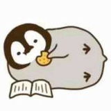 西红柿炒番茄