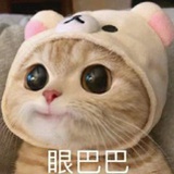 幼鹿