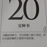 豆豆