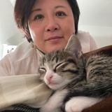 瓦瓦