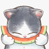 一 橘猫