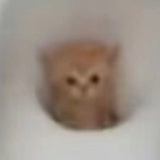 xxxxxx