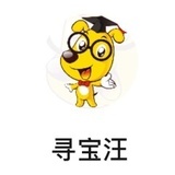 寻宝汪