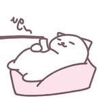 奶黄包包