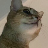 搞毛啊