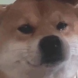 乱世巨星