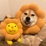 王三三