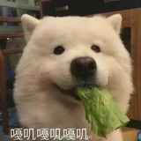 莫得网名