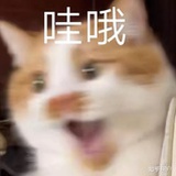 守护最好的胖胖