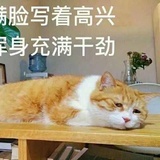 呵呵哒
