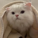 专业焊接