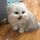 夜火