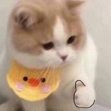 麟林阁