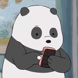 小智
