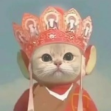 爪爪冰棍儿