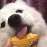 浓眉大眼的网友