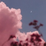 你是别人的老公