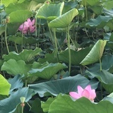 沈随之