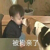 烦死了