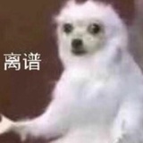 啥也不是