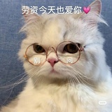 马上就上课啦呜