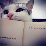 _yun👻。