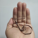 捉了一只小妖精