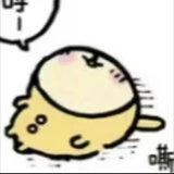 加斯特喵