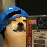 NNNccc