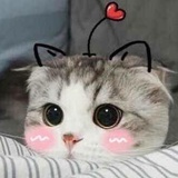 心晴
