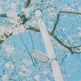 姜喵ω
