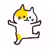 旺财～元宝