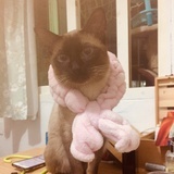 开心就好