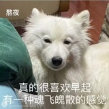 许着霜嘘嘘嘘